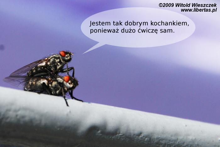 Jestem tak dobrym kochankiem...