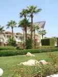 Hurghada- okolice hotelu