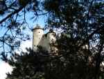 Baszty zamkowe ukryte w drzewach