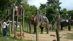 Czas na safari - miejsce do załadunku na słonie (Nepal)