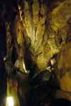 Jaskinia Mroźna (Tatry)