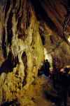 Jaskinia Mroźna (Tatry)