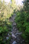 Żółty szlak na Goły Wierch (Tatry)