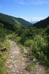 Żółty szlak w Dolinie Raczkowej (Tatry)