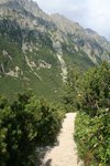 Czarny szlak w Dolinie Roztoki (Tatry)