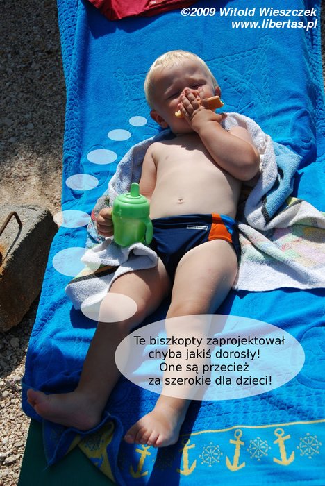 Biszkopty tylko dla dorosłych