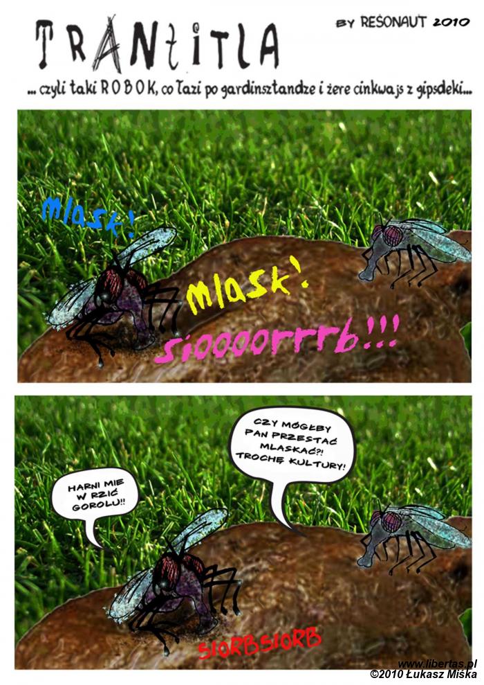 Trantitla - Duma i uprzedzenia