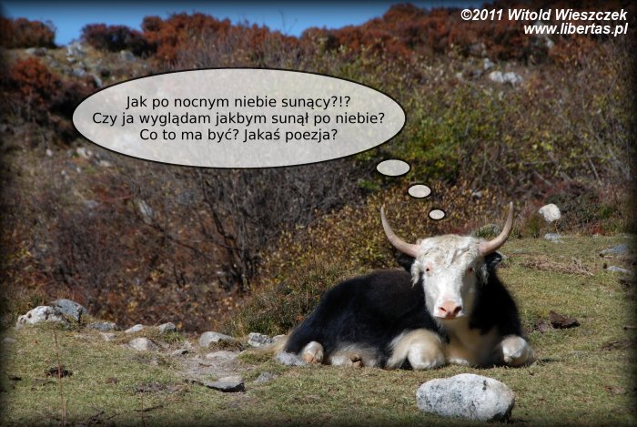 Jak po nocnym niebie sunący (Nepal)