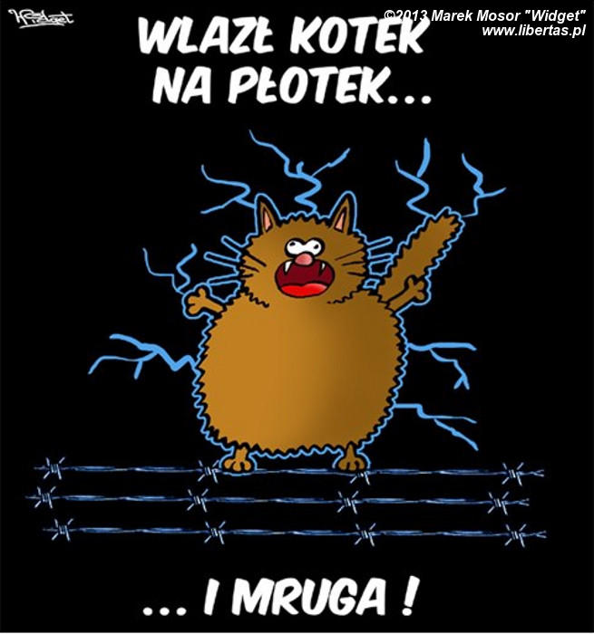 Wlazł kotek na płotek