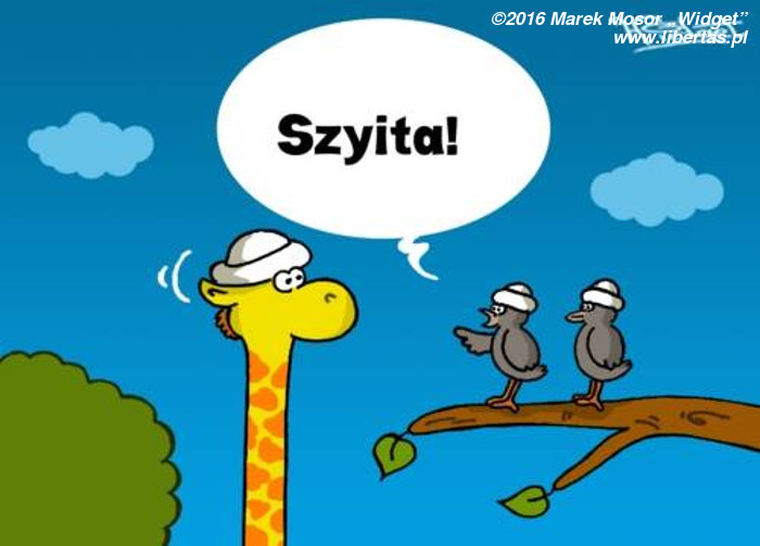 Szyita
