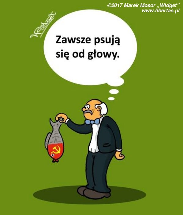 Zawsze psują się od głowy