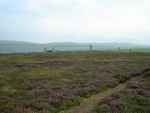 Ring of Brodgar