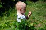 Jeremi