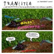 Trantitla - Duma i uprzedzenia