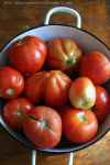 Pomidory
