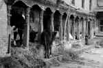 Hanuman Ghat, Bhaktapur (Nepal)