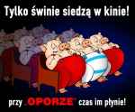 Tylko świnie siedzą w kinie
