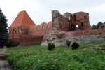 Ruiny zamku krzyżackiego (Toruń)
