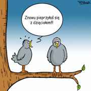 Dzięcioł