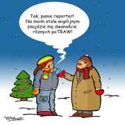 Potraw