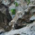 Zoo w Kolonii (Niemcy)