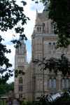 Muzeum Historii Naturalnej / Natural History Museum, Londyn, (Anglia)