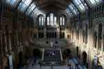 Muzeum Historii Naturalnej / Natural History Museum, Londyn, (Anglia)