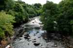 Aysgarth Falls, Yorkshire (Anglia)