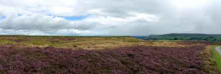 Melmerby Moor, Yorkshire (Anglia)