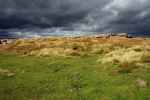 Tan Hill, Yorkshire (Anglia)