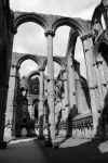 Fountains Abbey, Yorkshire (Anglia)