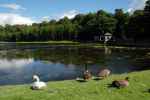Fountains Abbey, Yorkshire (Anglia)