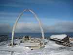 Kości wielorybów w Barrow (Alaska)