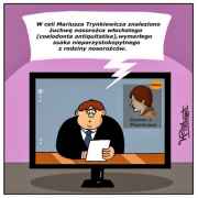 Nosorożec