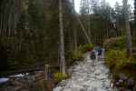 Zielony szlak do Wodospadu Siklawa (Tatry)