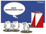 Zmarnowany głos
