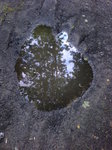 Kałuże