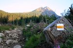 Żółty szlak na Bystrą Ławkę (Tatry)