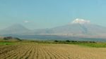 Widok na Ararat