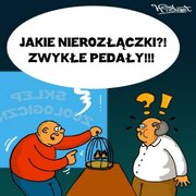 Nierozłączki