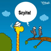 Szyita