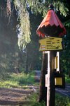 Żółty szlak na Goły Wierch (Tatry)