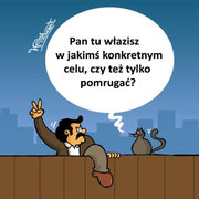 Pomrugać